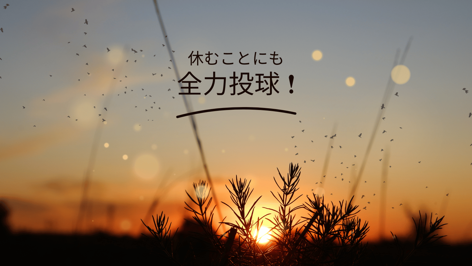 今年も参戦！果たして結果は！2023年ソフトボール大会結果!